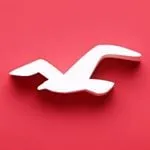 Hollister Co discount code